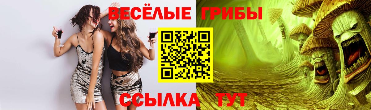 Старая Купавна  Галлюциногенные грибы GOLDEN TEACHER  купить закладку  Вход с VPN 